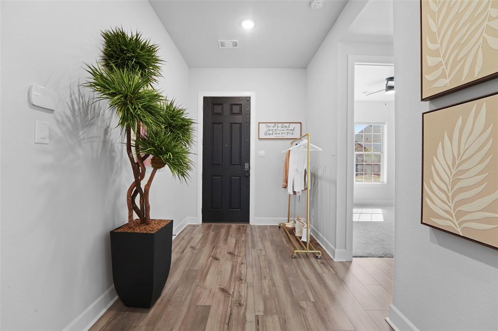 1921 Braided Mane Avenue