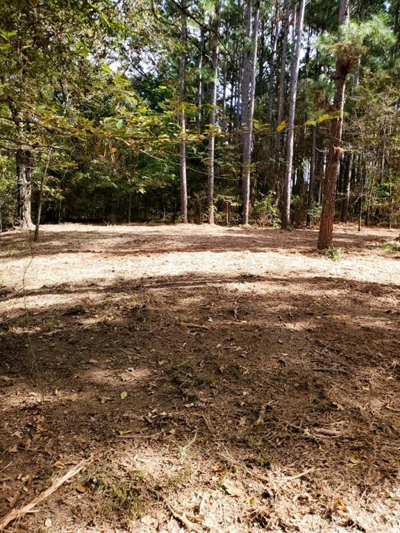 Waters Edge Ranch Tr 373 Ph - Land