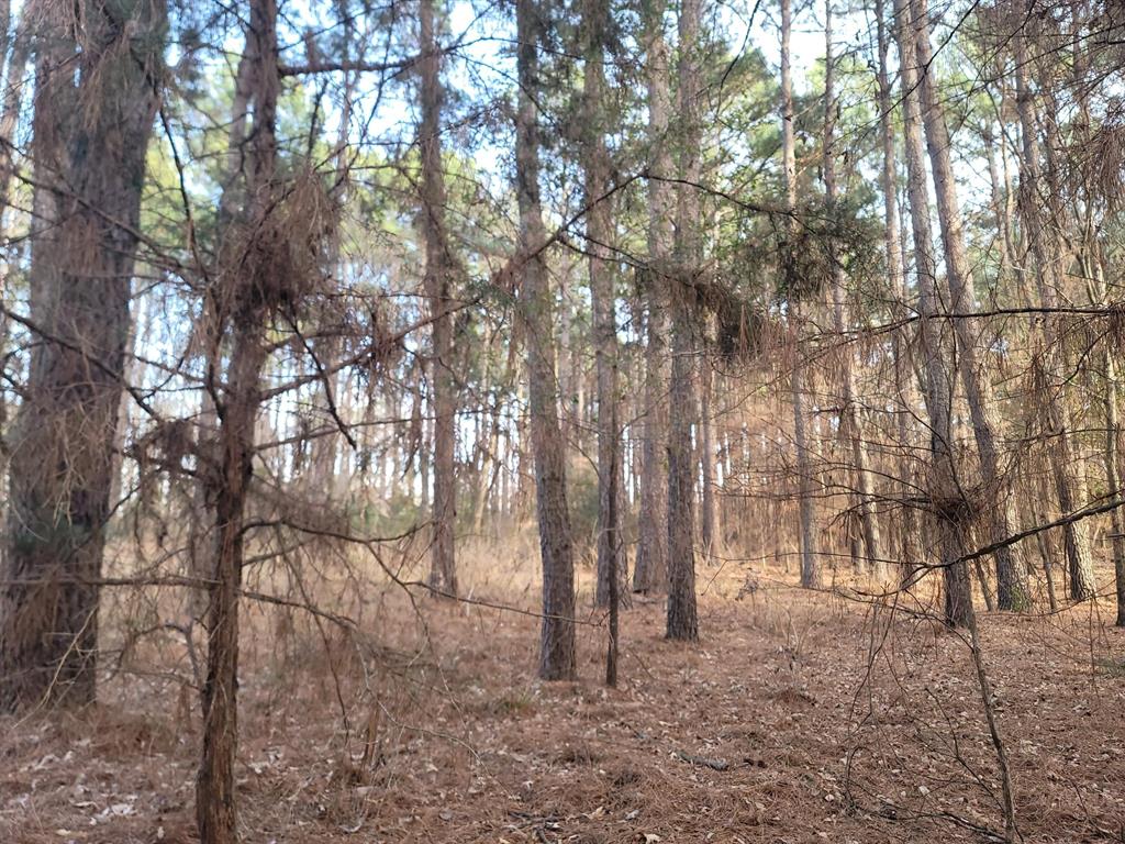 Waters Edge Ranch Tr 373 Ph - Land