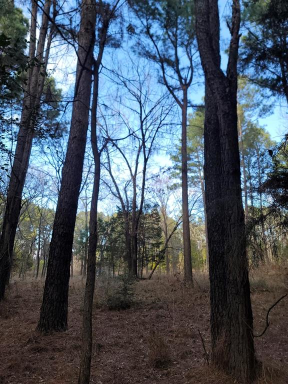 Waters Edge Ranch Tr 373 Ph - Land