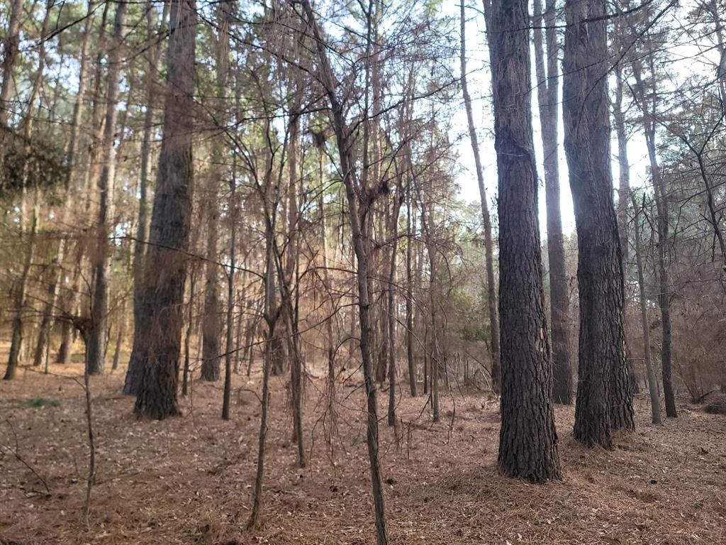 Waters Edge Ranch Tr 373 Ph - Land