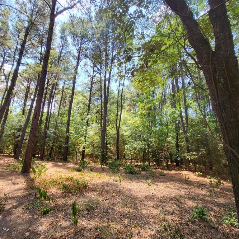 Waters Edge Ranch Tr 373 Ph - Land