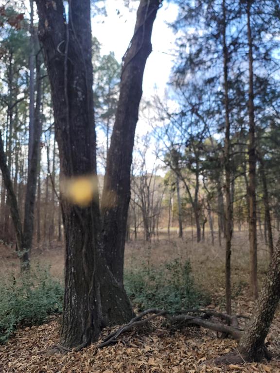 Waters Edge Ranch Tr 373 Ph - Land