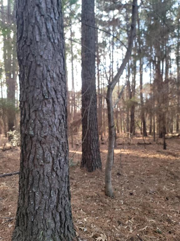 Waters Edge Ranch Tr 373 Ph - Land