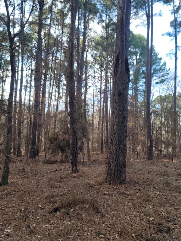 Waters Edge Ranch Tr 373 Ph - Land