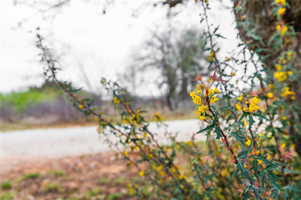 J A Belvin - Residential