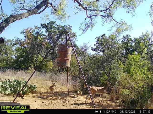 J A Belvin - Residential