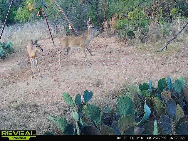 J A Belvin - Residential