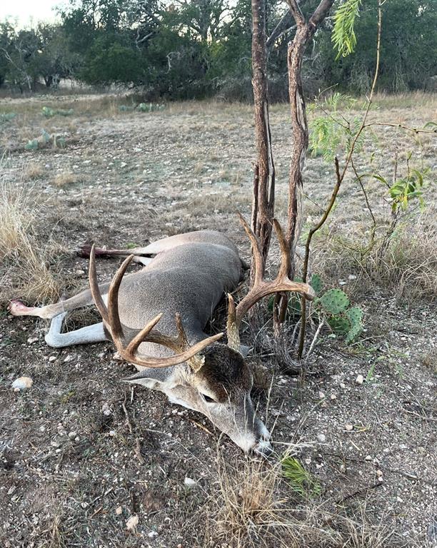 00715003710010 - Farm