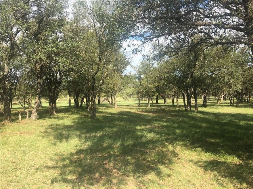 Beautiful tree covered half-acre lake lot ready for you to build your lake home or lake cabin!  This lot is right across the street from the water and is in the gated community of Oak Point at Lake Brownwood. Building requirements are just 960sf heated-cooled space with no masonry requirement so you are free to build a lake cabin OR go as large & elaborate as you want.  Neighborhood has homes as large as 6,000sf!  You can also construct a work shop to store all your lake toys! Abundant Oak Trees, paved road, & close to private boat ramp.  Electricity available via Comanche Electric Coop. Deed restrictions in place to assure quality development. On site sewer septic to be installed by Purchaser. All building plans submitted to Oak Point ACC for approval.  Zephyr Water is in the process of bringing water lines into Oak Point. Currently interior lot owners have water brought in and waterfront home owners pump from the lake.