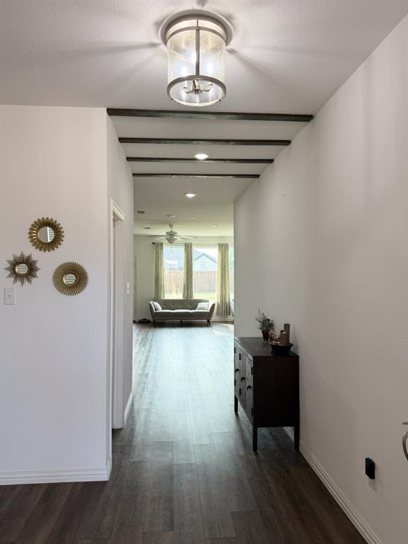 2603 Lemon Mint Lane