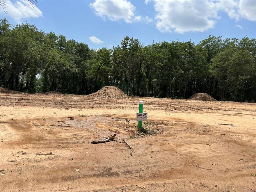 No HOA. Beautiful Treed Lots with Concrete streets and curbs. Underground utilities. City water and sewer. Tolar ISD. Come see this great new community and choose your lot before they are all gone. If you do not have a builder we can provide one for you.