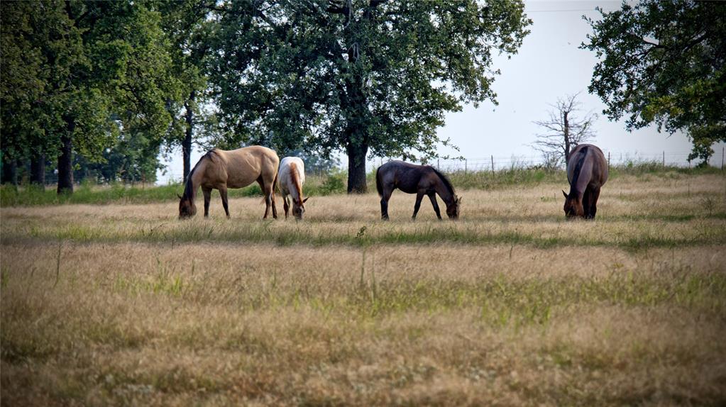 T E & L co Survey - Farm