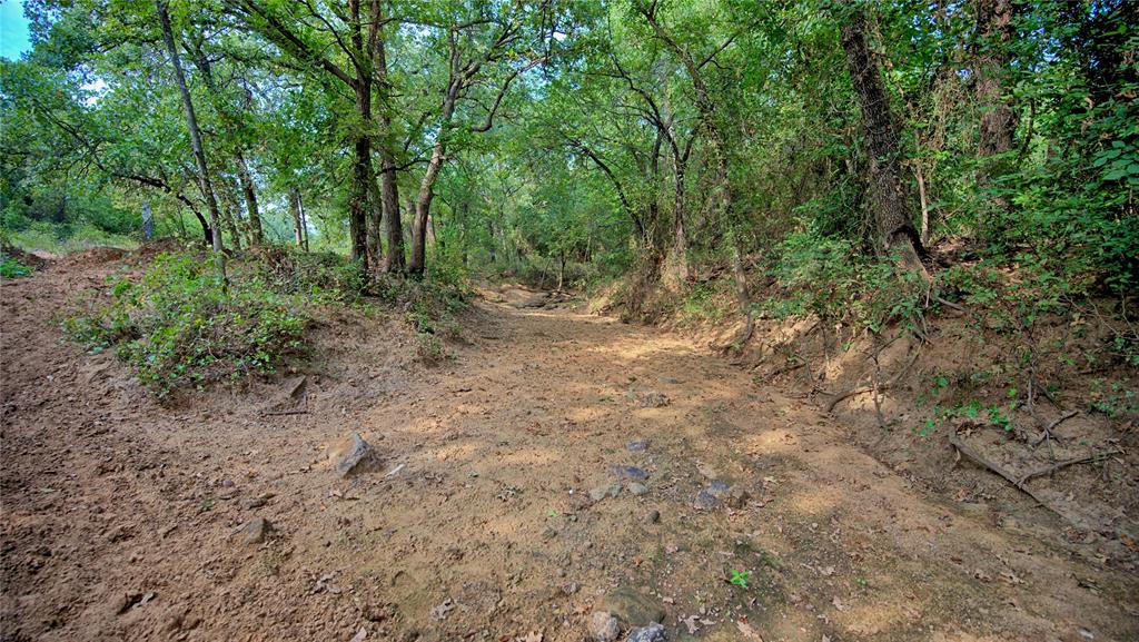 T E & L co Survey - Farm