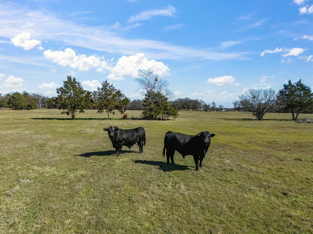 Delgado Estates - Land