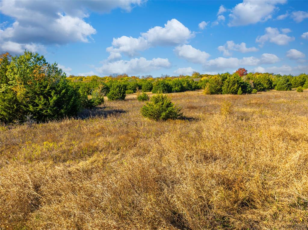 11209 County Road 439