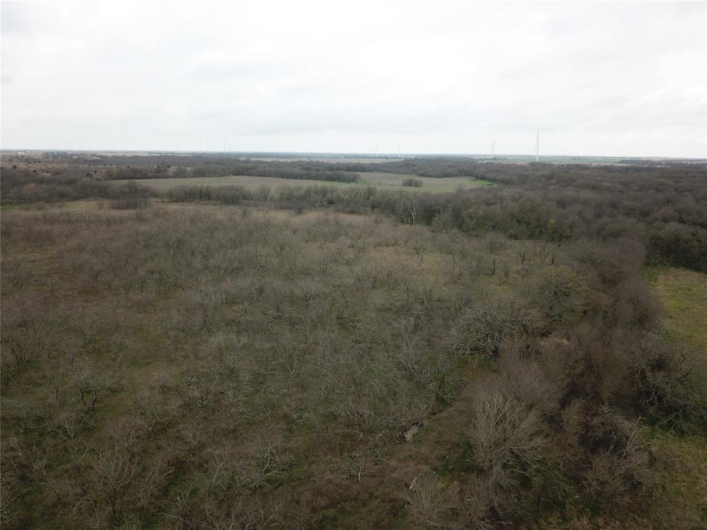 D. Dykes Ann Cox - Farm