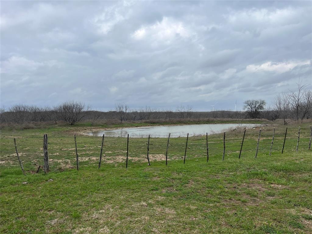 D. Dykes Ann Cox - Farm