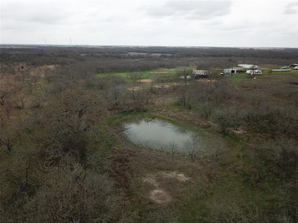 D. Dykes Ann Cox - Farm