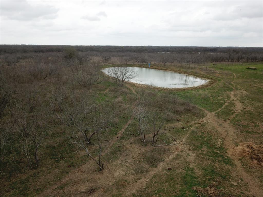 D. Dykes Ann Cox - Farm