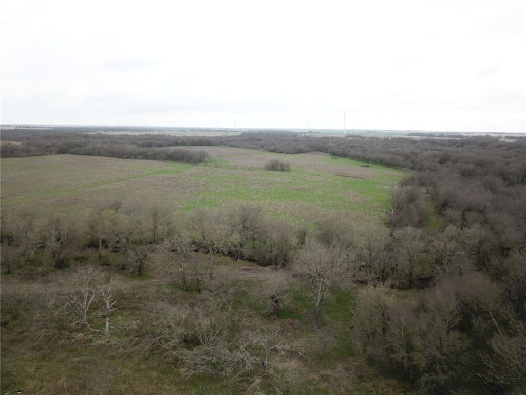 D. Dykes Ann Cox - Farm