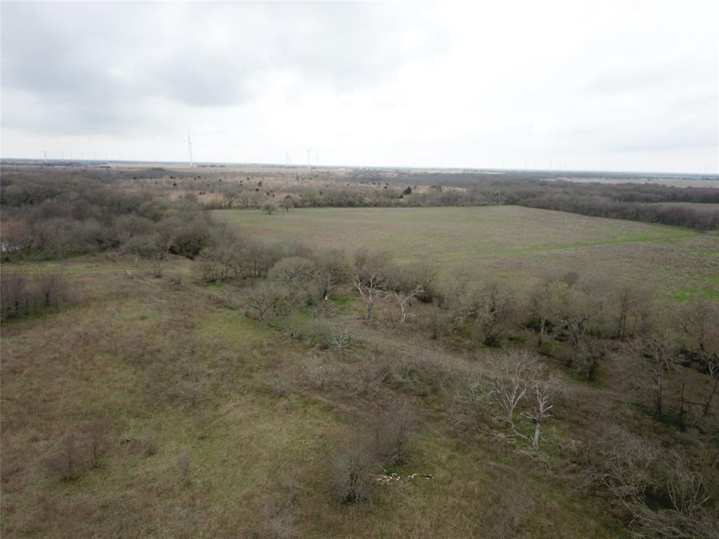 D. Dykes Ann Cox - Farm