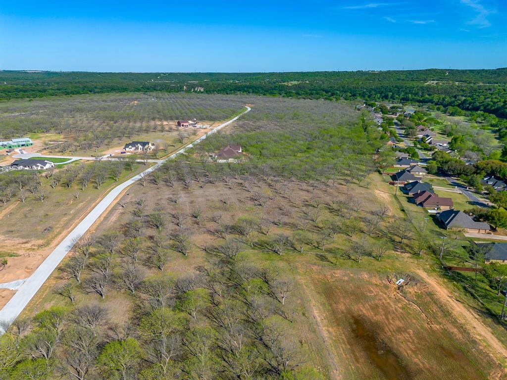 Pecan Plantation - Land
