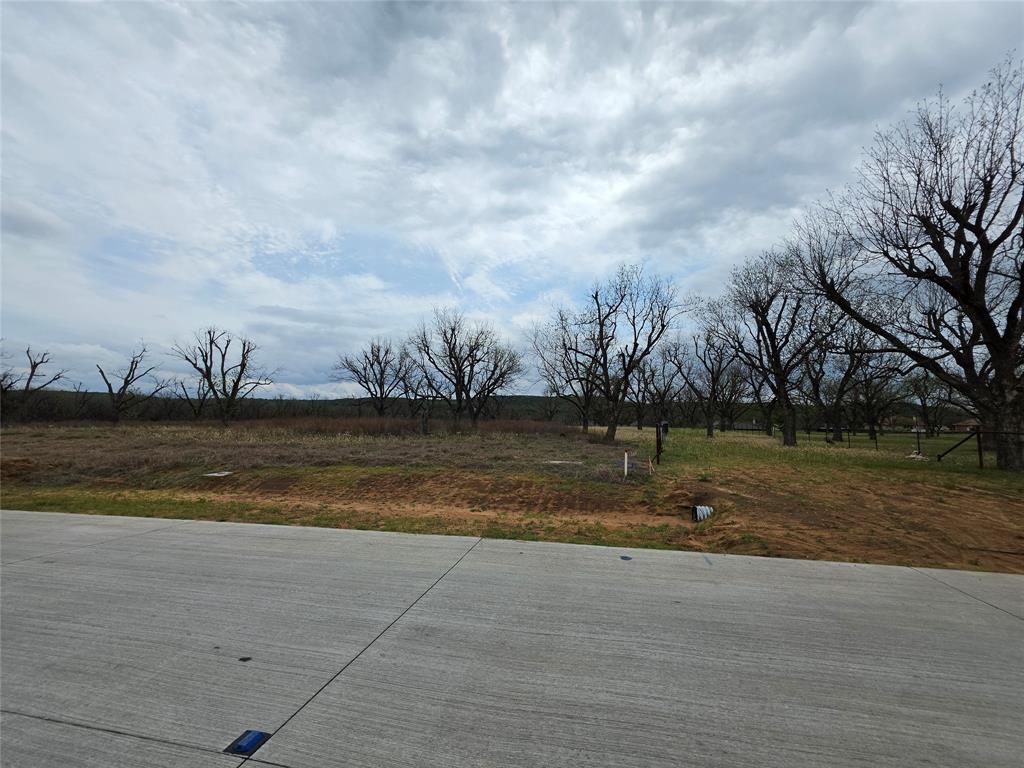 Pecan Plantation - Land