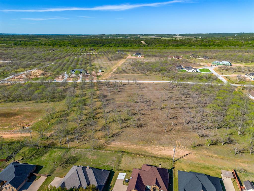 Pecan Plantation - Land