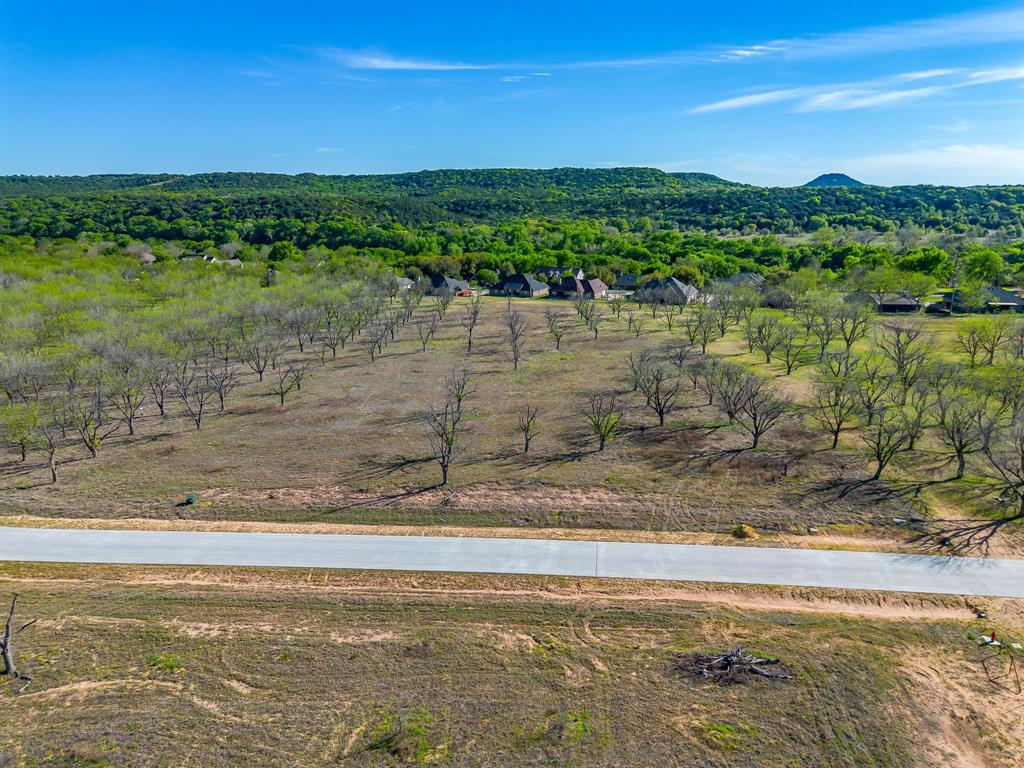 Pecan Plantation - Land