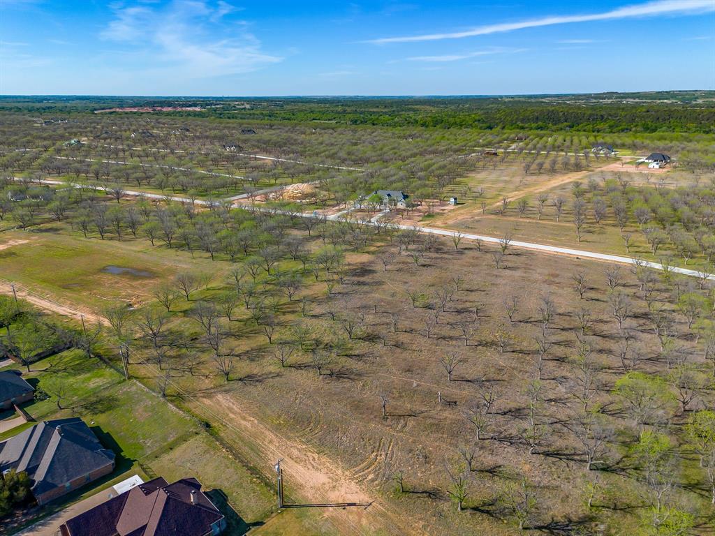 Pecan Plantation - Land