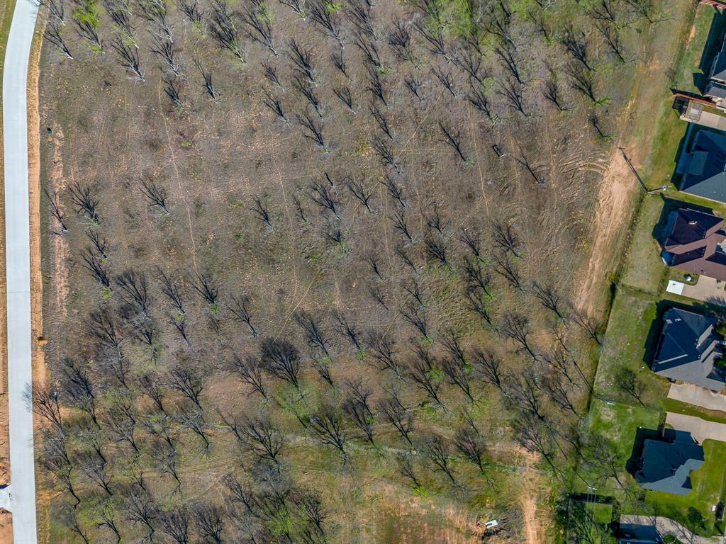 Pecan Plantation - Land