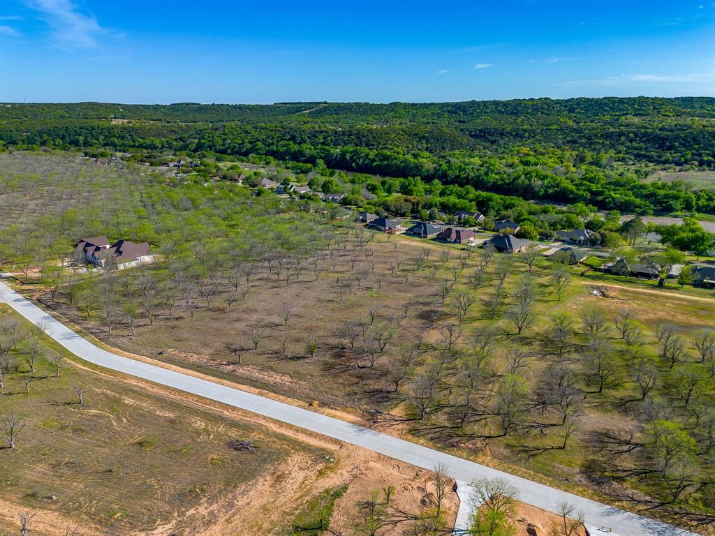 Pecan Plantation - Land