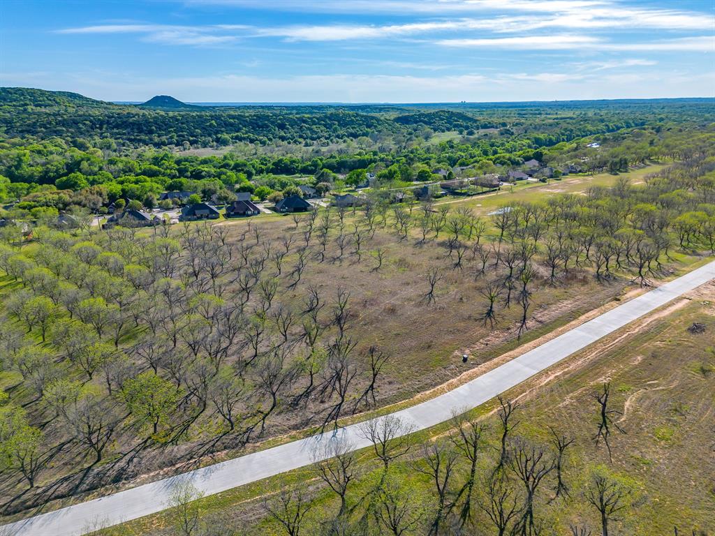 Pecan Plantation - Land