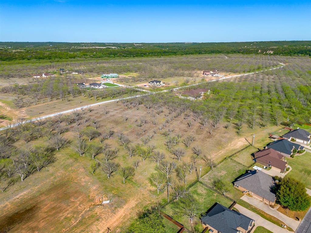 Pecan Plantation - Land