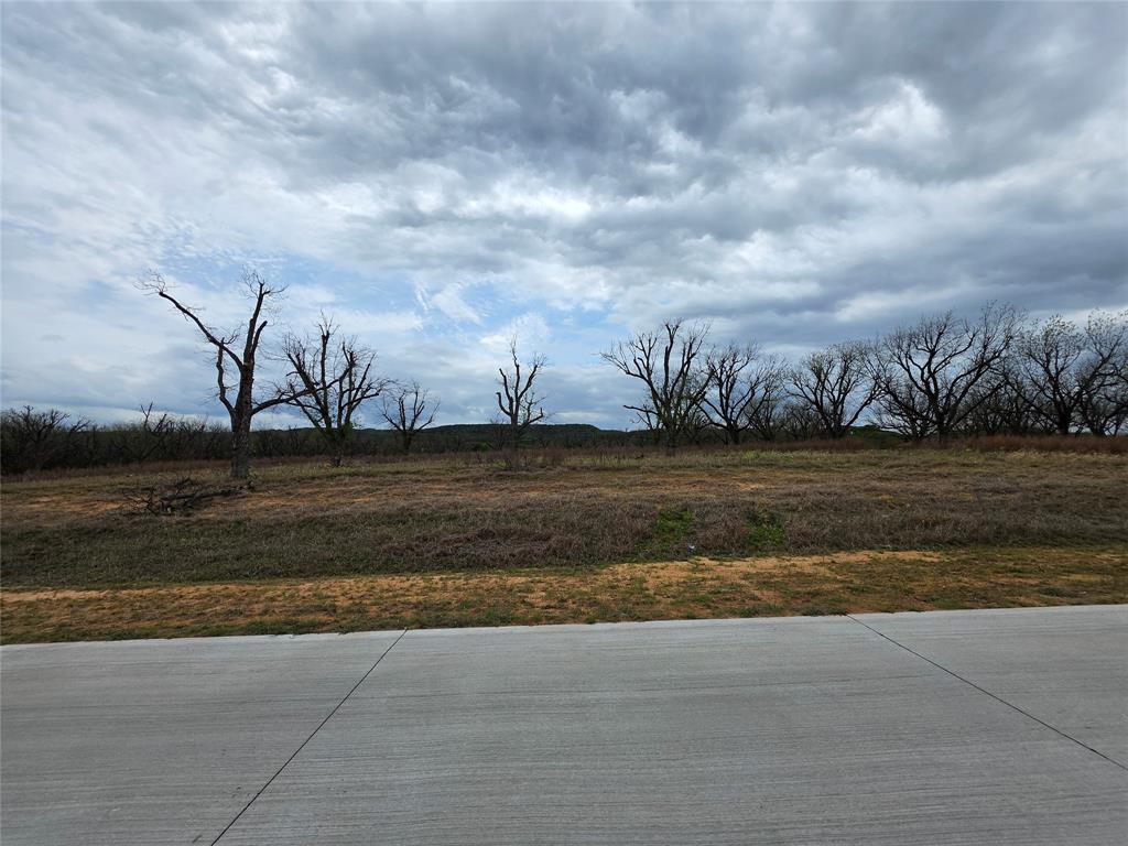 Pecan Plantation - Land
