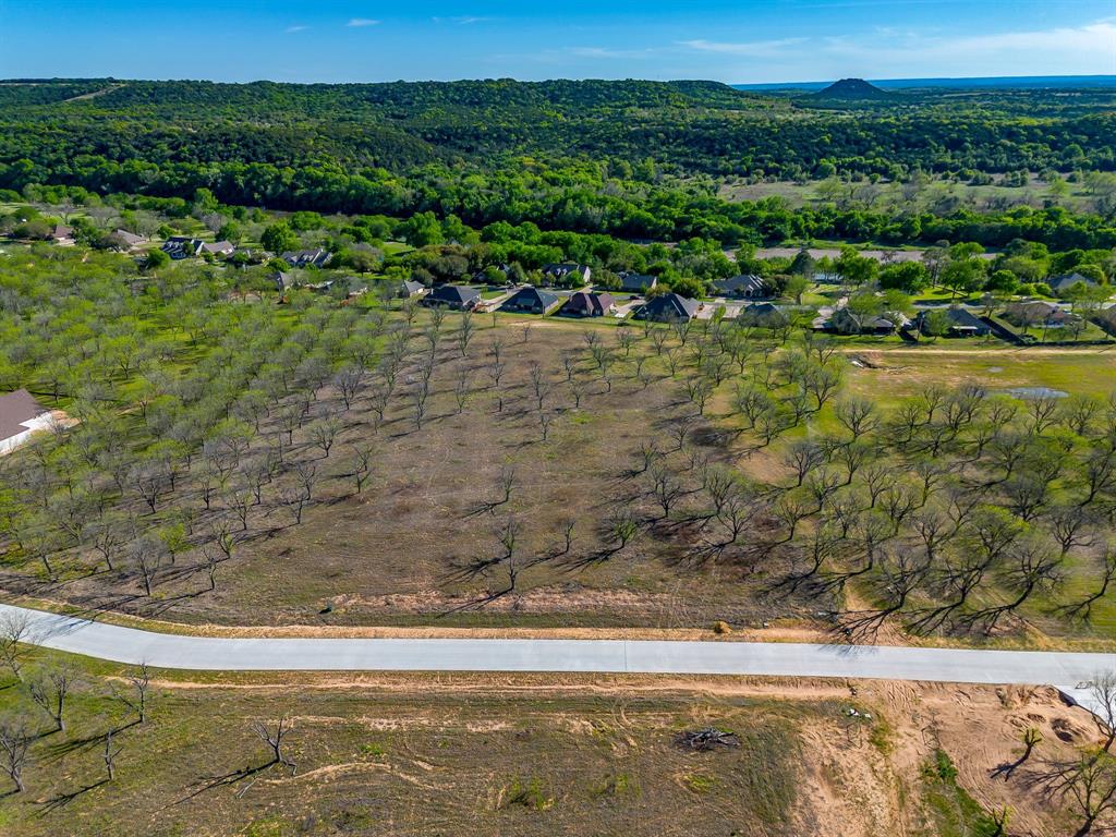 Pecan Plantation - Land