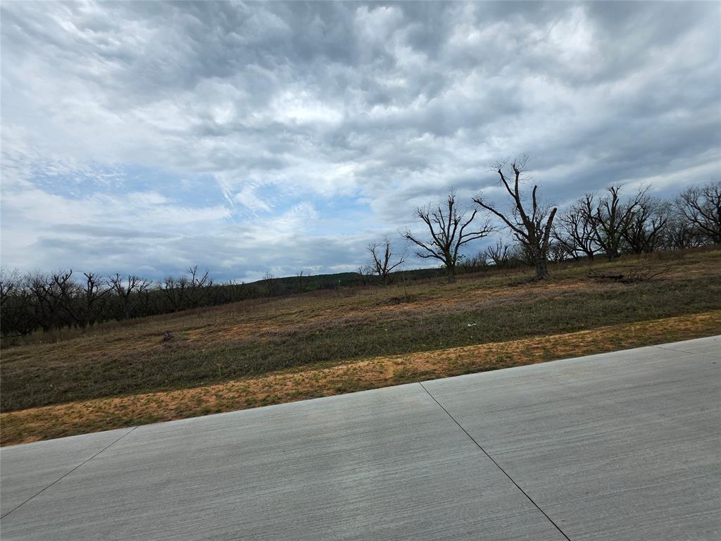 Pecan Plantation - Land