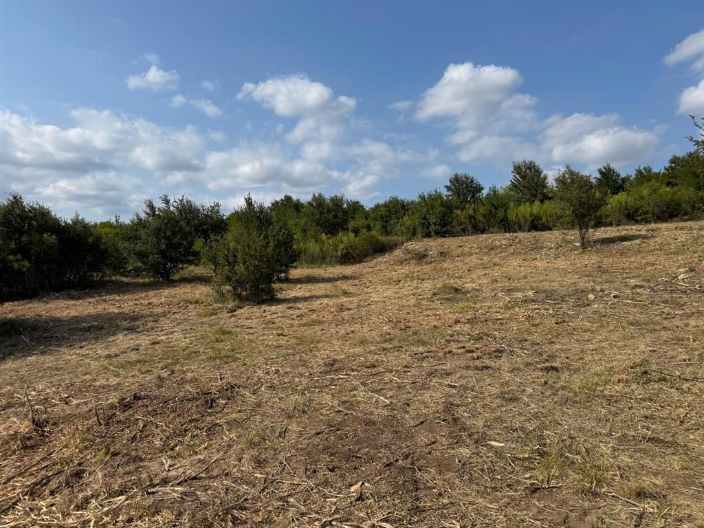 Hills Above Possum Kingdom Lake - Land