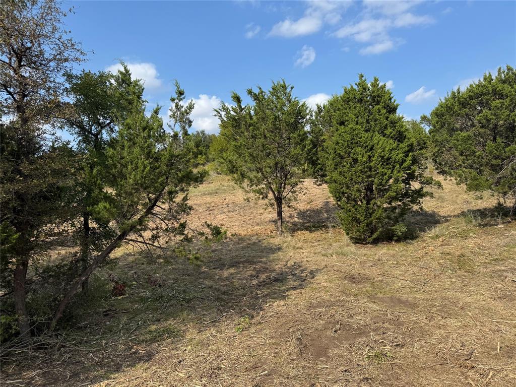 Hills Above Possum Kingdom Lake - Land