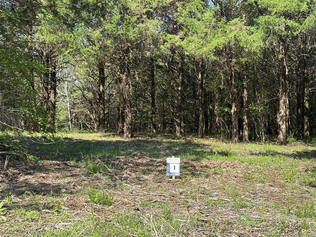 Bois D'Acre Lake Estates - Land