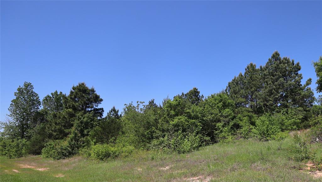 19020 Sanctuary Lot 5  4 FM 317