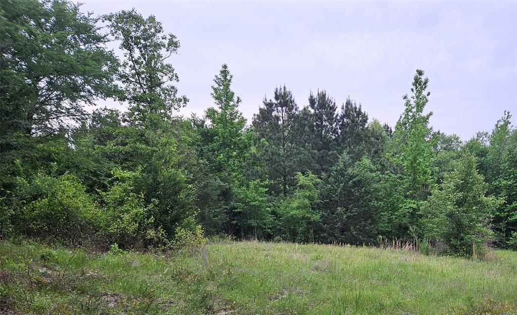 19020 Sanctuary Lot 5  4 FM 317