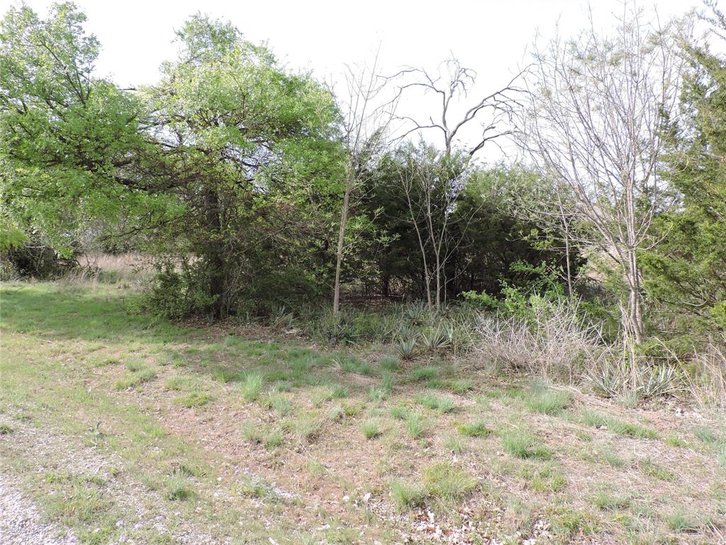 Lot 1M Crest