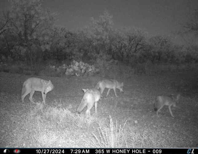 Taylor Ridge Estates - Land