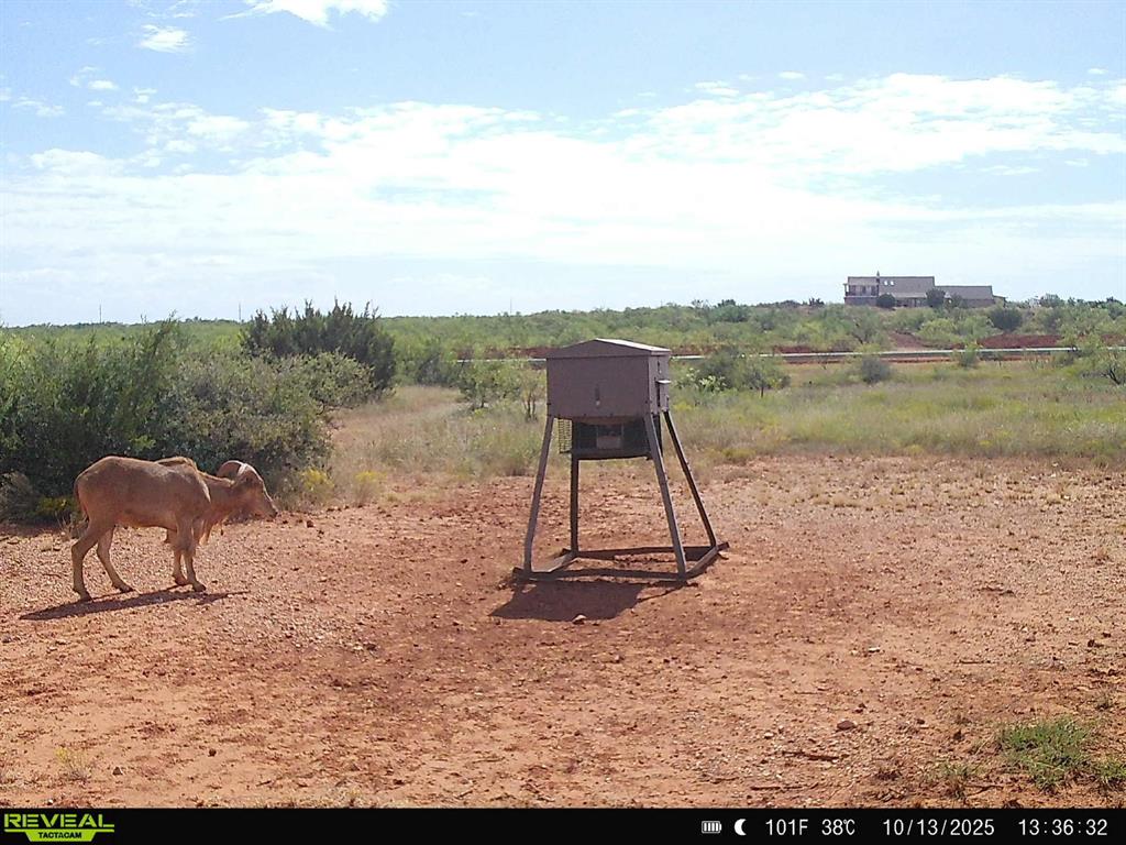 Taylor Ridge Estates - Land