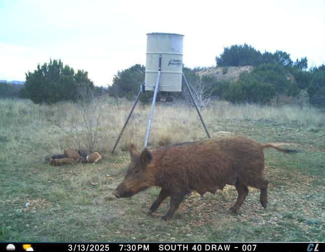 Taylor Ridge Estates - Land