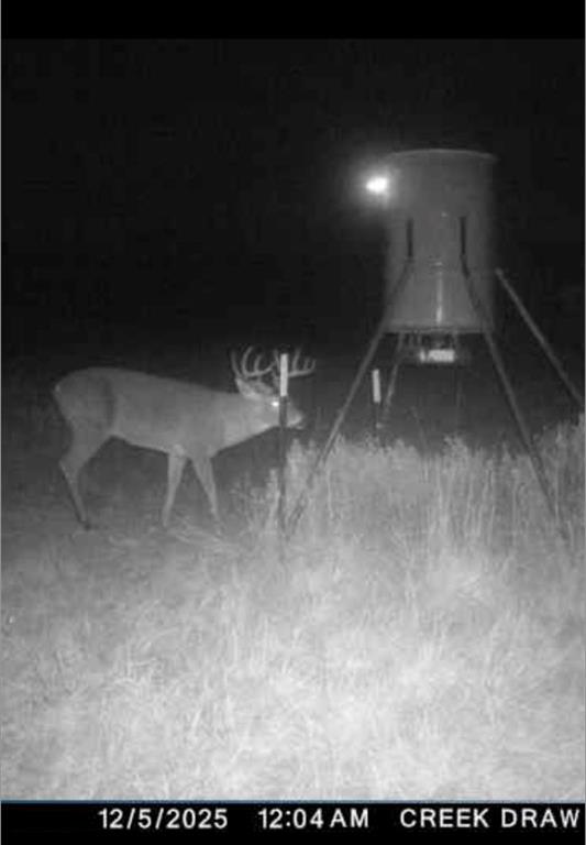 Taylor Ridge Estates - Land