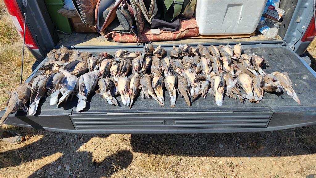 Taylor Ridge Estates - Land