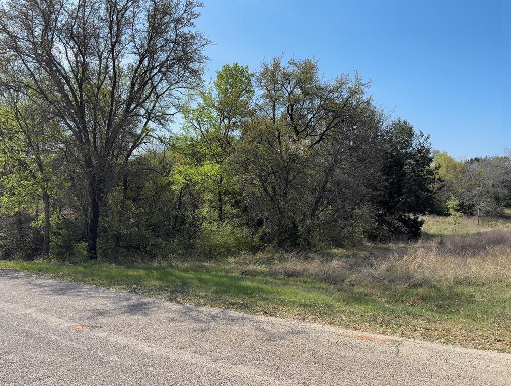 White Bluff #01 - Land